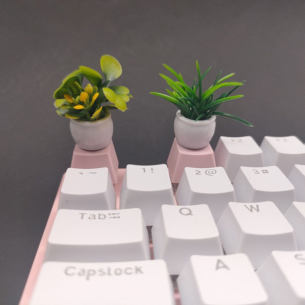 كاي كابس مظهر كرزي شخصي PBT كي - مراجعة Gaming Accessories Aesthetic وسعره